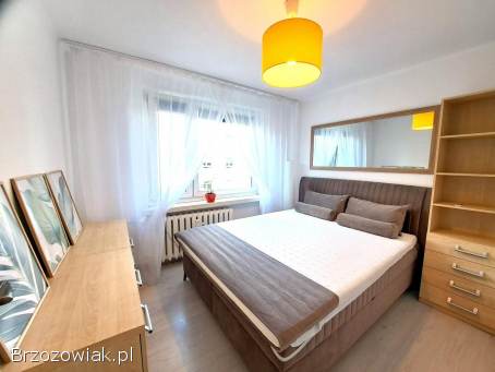 Do wynajęcia przestronne mieszkanie na 2 piętrze 54,  4 mkw. ,  Sanok Śródmieście