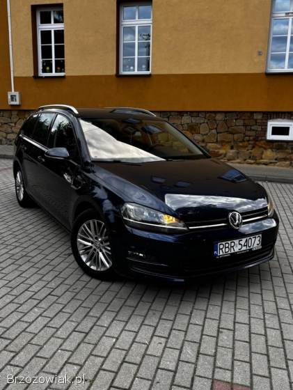 Volkswagen Golf VII 2015