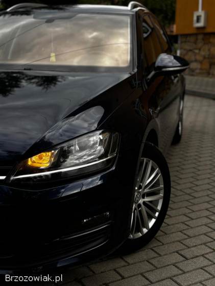 Volkswagen Golf VII 2015
