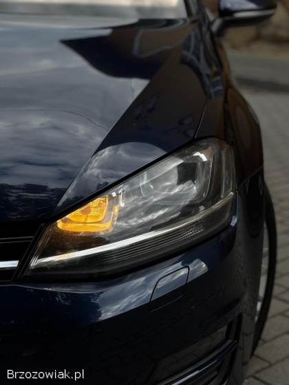 Volkswagen Golf VII 2015