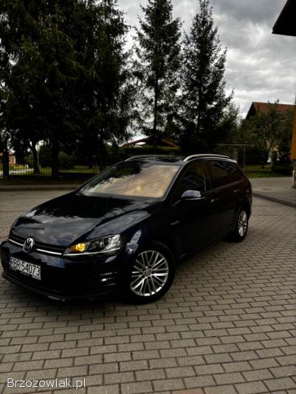 Volkswagen Golf VII 2015