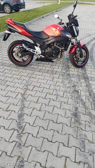 Suzuki GSR 2009