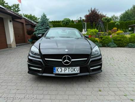 Mercedes-Benz SLK Cabrio/Roadster 2012