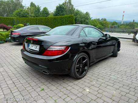 Mercedes-Benz SLK Cabrio/Roadster 2012