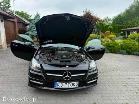 Mercedes-Benz SLK Cabrio/Roadster 2012