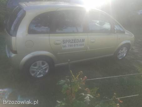 Opel Meriva 2009