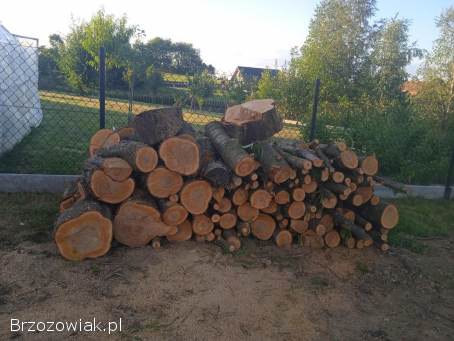 Sprzedam drzewo