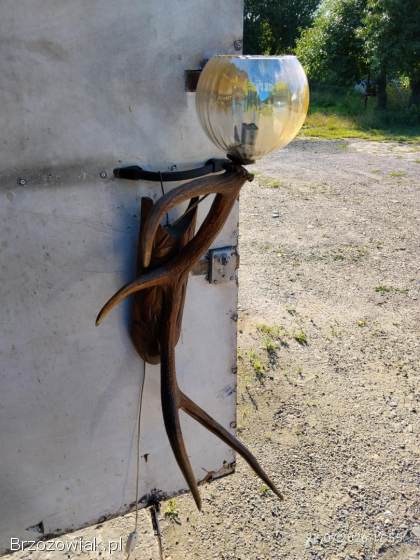 Lampa z rogu jelenia naścienna
