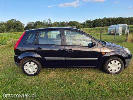 Ford Fiesta MK6 1.  3 Benzyna 2006
