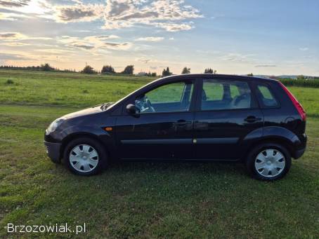 Ford Fiesta MK6 1.  3 Benzyna 2006