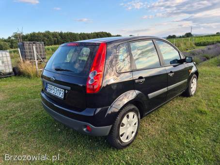 Ford Fiesta MK6 1.  3 Benzyna 2006