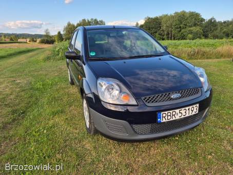 Ford Fiesta MK6 1.  3 Benzyna 2006