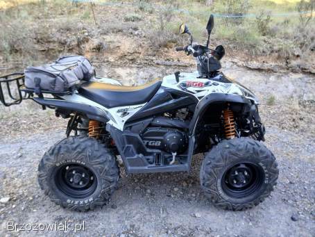 TgB Targed 460 4x4 Homologacja