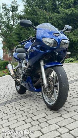 Suzuki SV S 2001