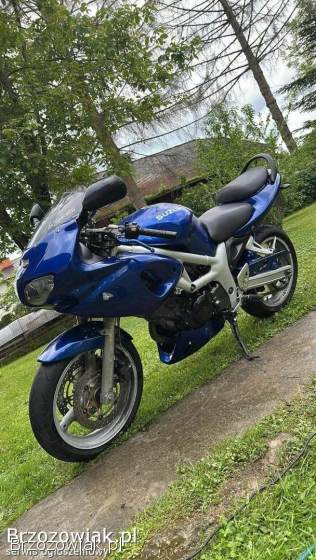Suzuki SV S 2001