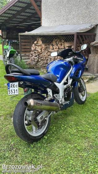 Suzuki SV S 2001
