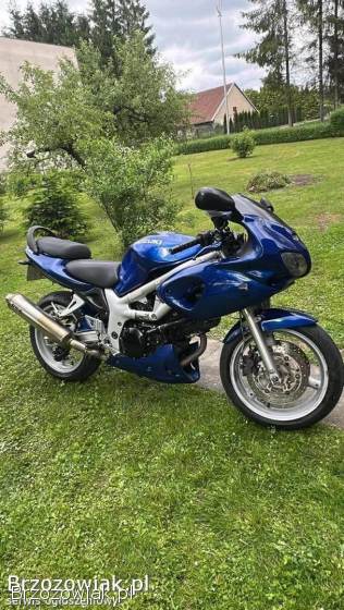 Suzuki SV S 2001