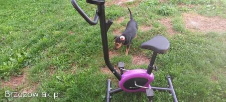 Rower stacjonarny