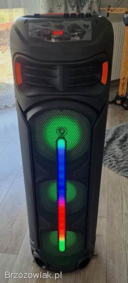 Głośnik bezprzewodowy karaoke