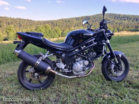 Hyosung GT 650,  sv650 2009