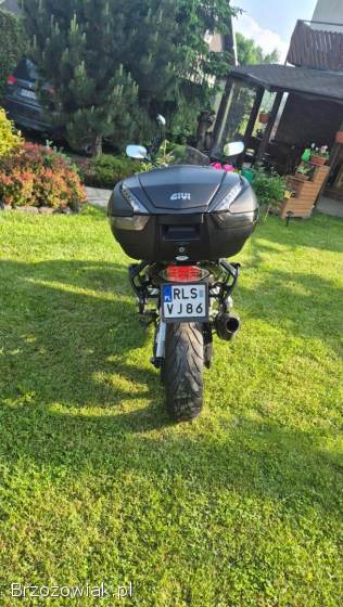 Suzuki Bandit 2009