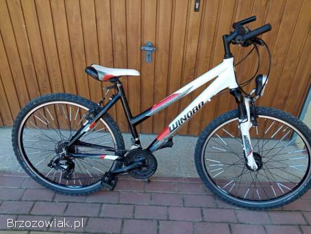 Rower 26 cali winora