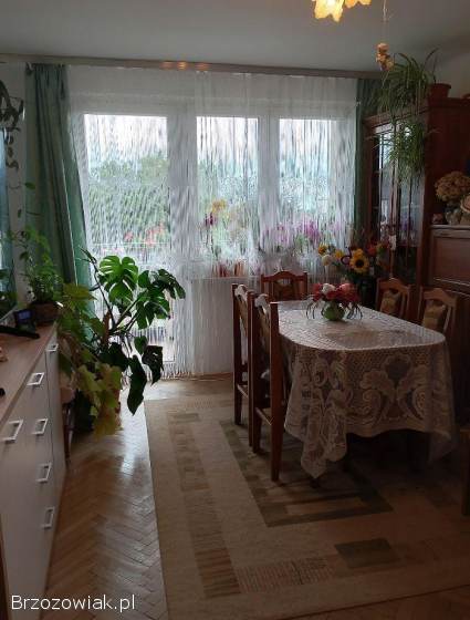 Sprzedam mieszkanie w Krośnie