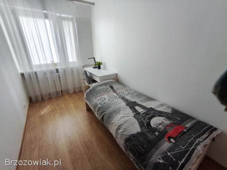 Pokój jednoosobowy,  Rzeszów ul Popiełuszki