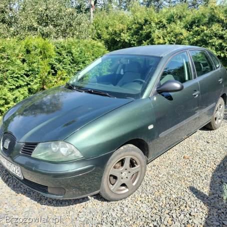 Seat Ibiza 2002