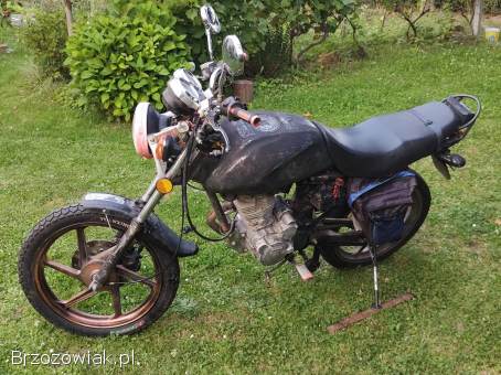 Zumico GR 1100 2010