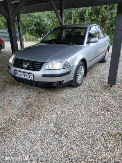 Volkswagen Passat 2002