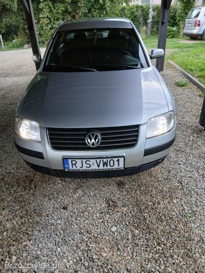 Volkswagen Passat 2002