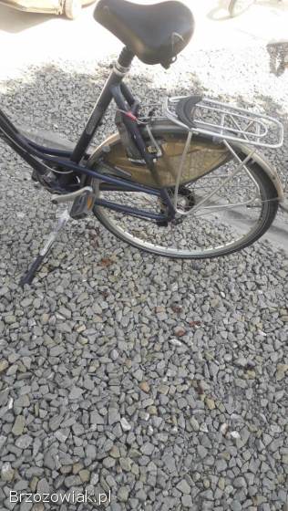 Rower gazela