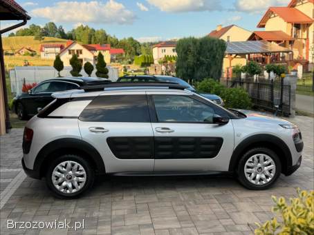 Citroën C4 Cactus Shine Edition 2017