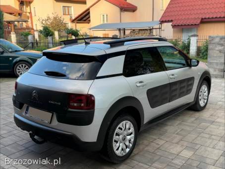 Citroën C4 Cactus Shine Edition 2017