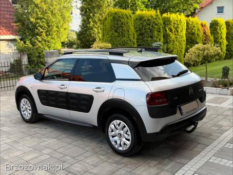 Citroën C4 Cactus Shine Edition 2017