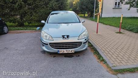 Peugeot 407 2.  0 hdi 2004