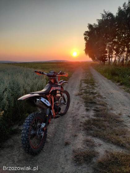 Xmotos XB 39 2020