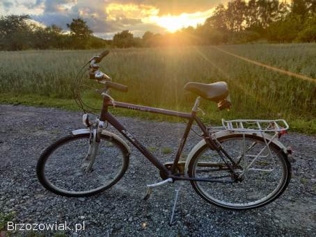 Rower KTM 29CALI