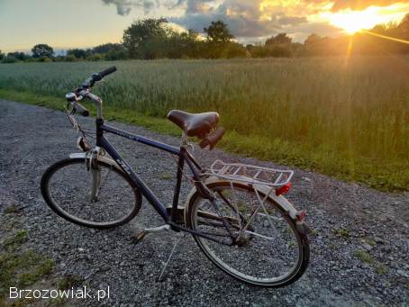 Rower KTM 29CALI