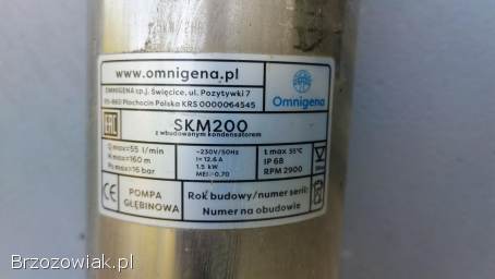 Pompa głębinowa