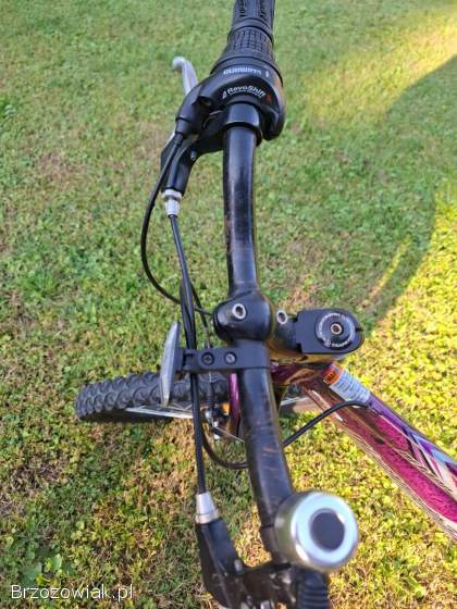 Rower 20