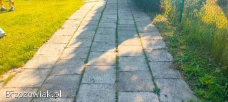 Płyta chodnikowa 50x50 szara betonowa