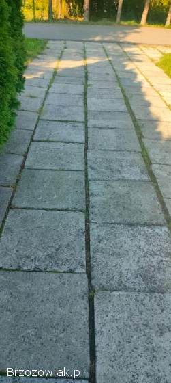 Płyta chodnikowa 50x50 szara betonowa
