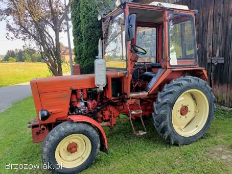 Wladimirec T25