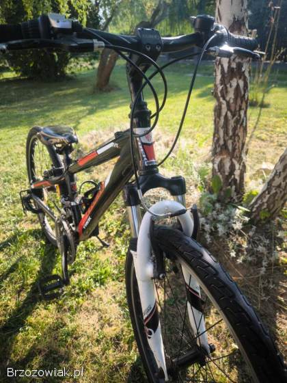 Rower górski 24 Trek MX220