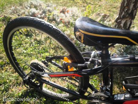 Rower górski 24 Trek MX220