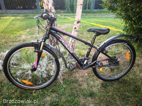 Sprzedam rower górski marki Specialized 24