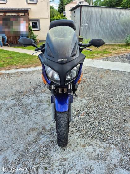 Honda CBF 2004