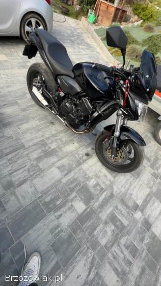 Honda CBF Hornet 600 A2 2009